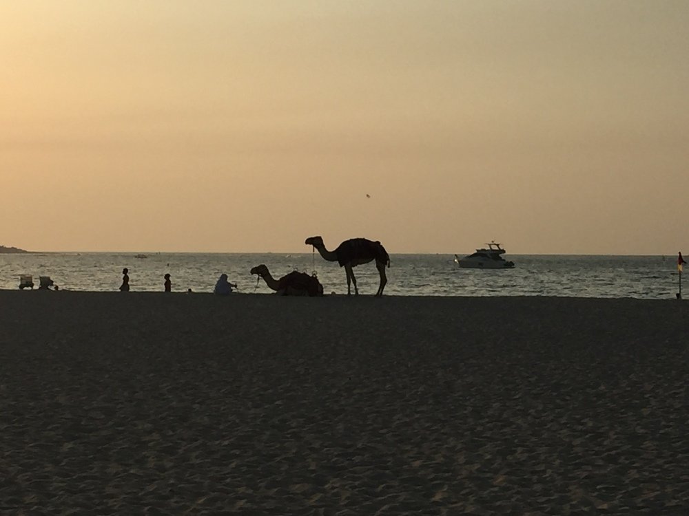 Photograph by Ali Boyko