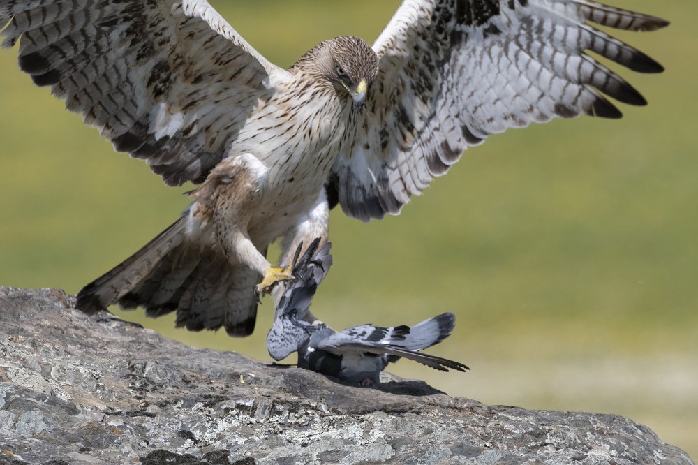 Photograph by Ernestas Balcikonis