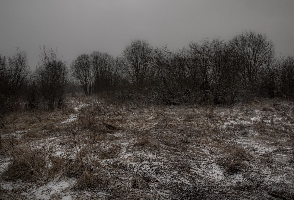 Photo #4442835