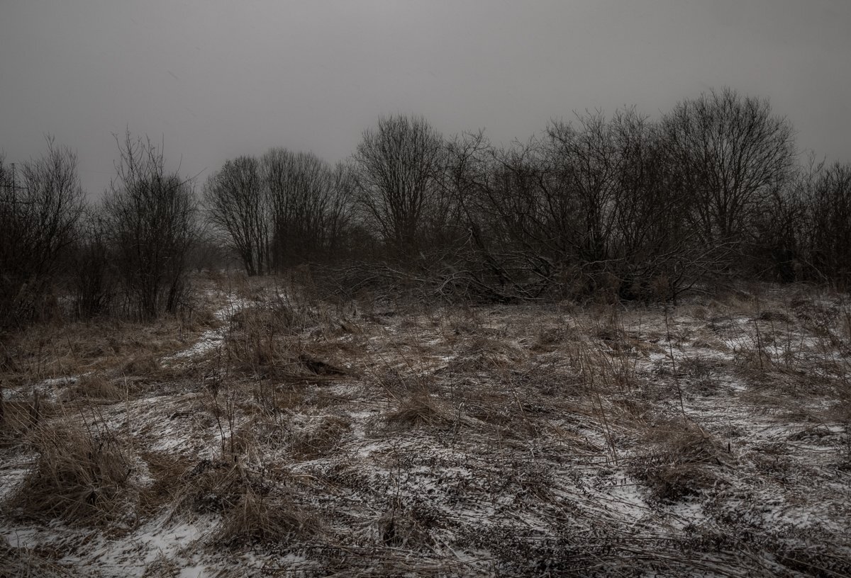 Photo #4442835