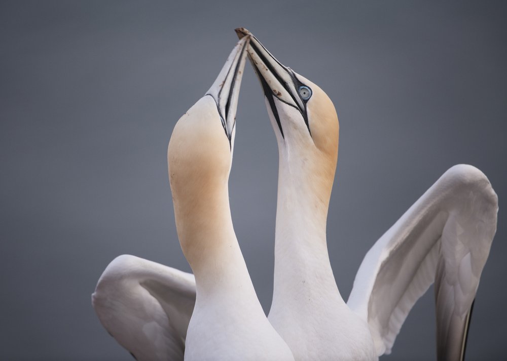 Photograph by Ernestas Balcikonis