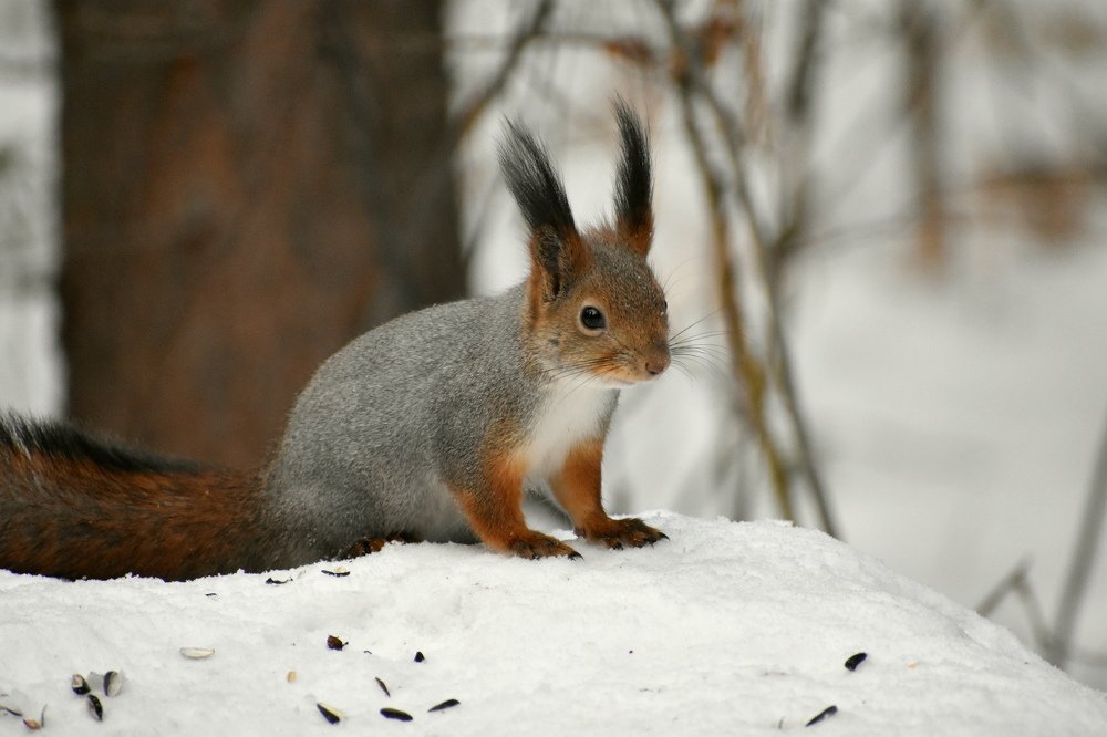 Photograph by Наталья Аржинт