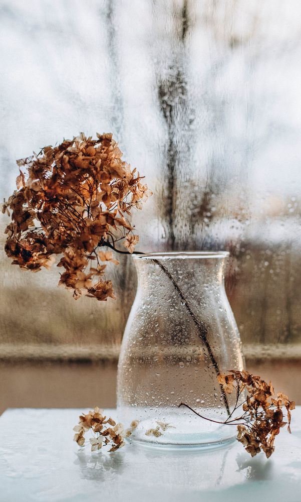 Photograph by Yulia Nikolaeva