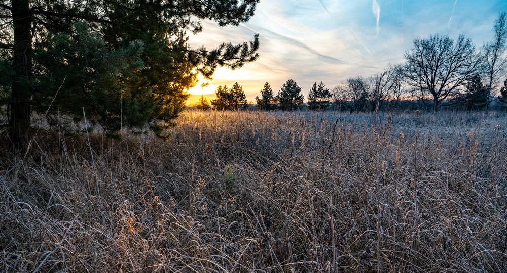 Photograph by Дммтрий Воробьев