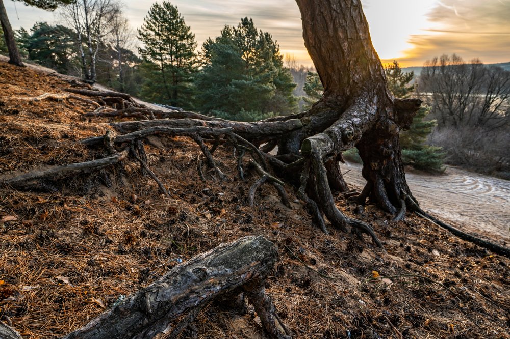 Photograph by Дммтрий Воробьев