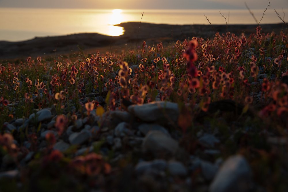 Photograph by Hait Roman