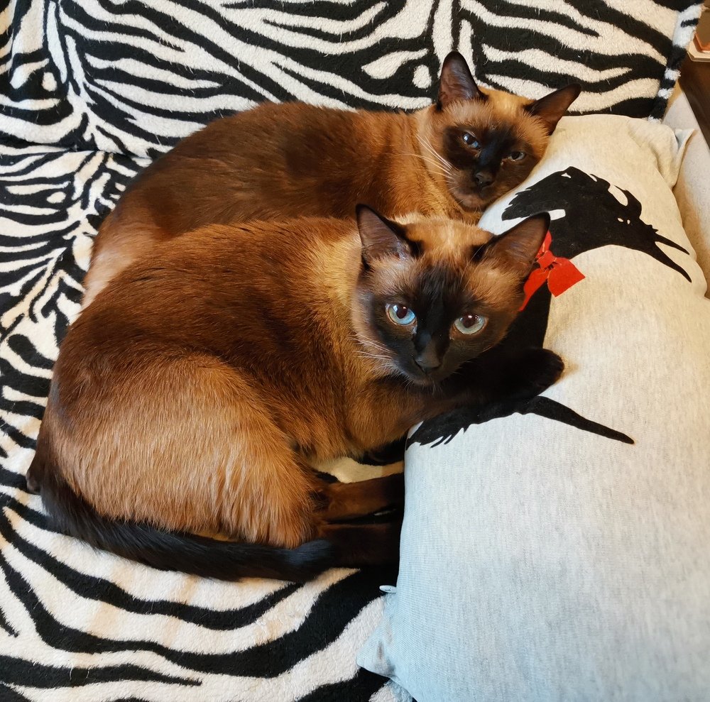 Photograph by Александр Костин