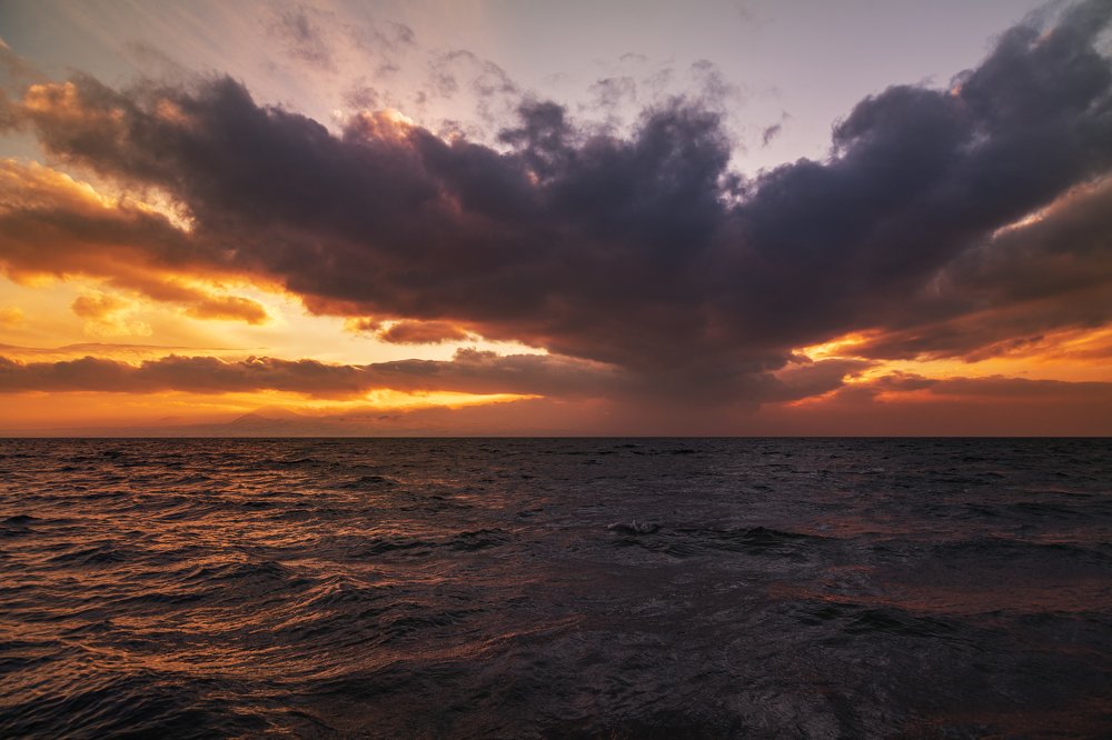 Photograph by Inga Avanesova