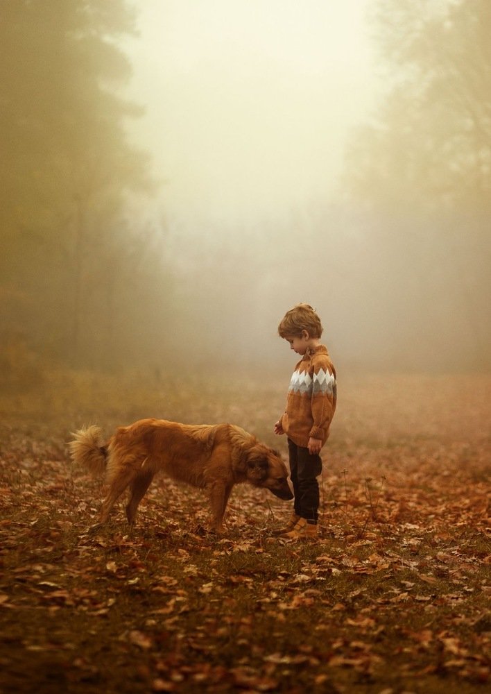 Photograph by Iryna Matvieienko