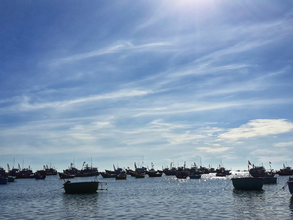 Photo #4443201