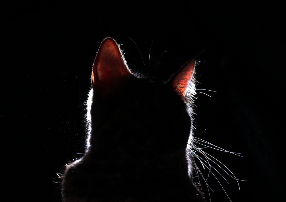 Photograph by Юлия Борзенко