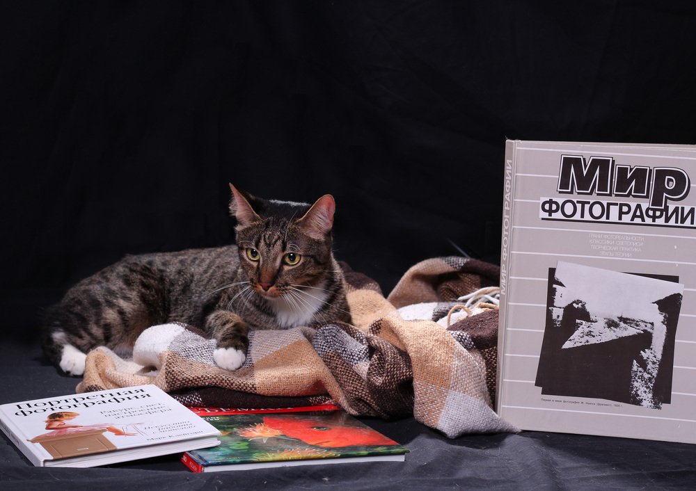 Photograph by Юлия Борзенко