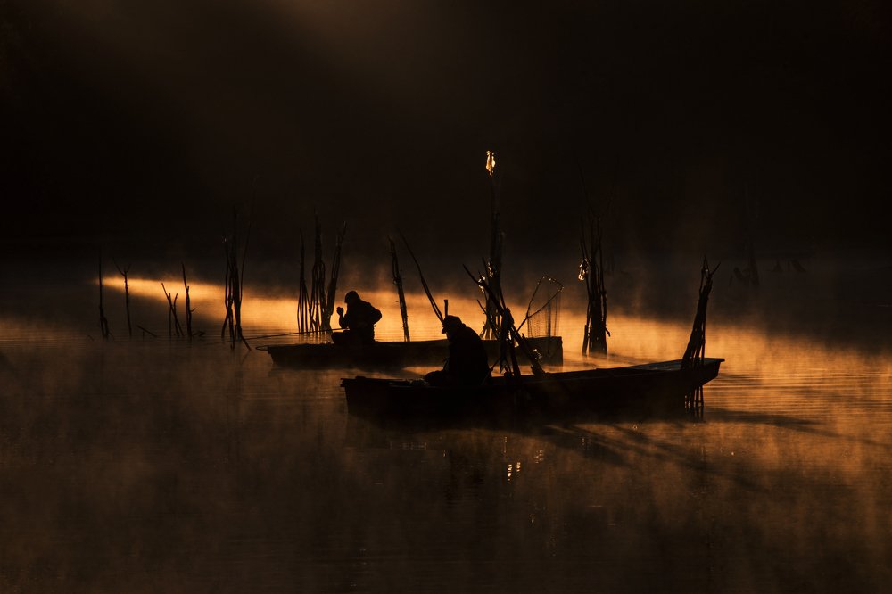 Photograph by Danica Markez