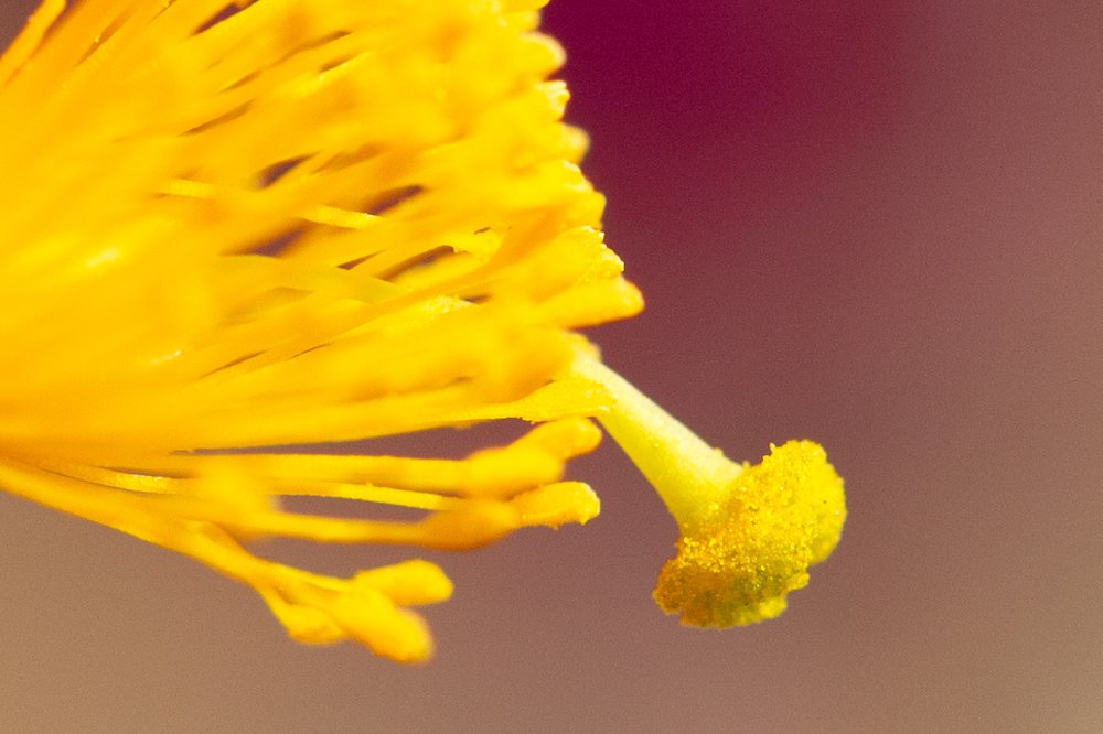 Photograph by Hait Roman