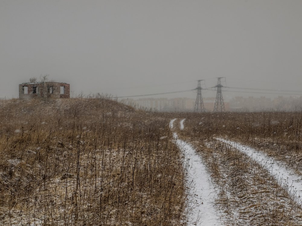 Photo #4443333