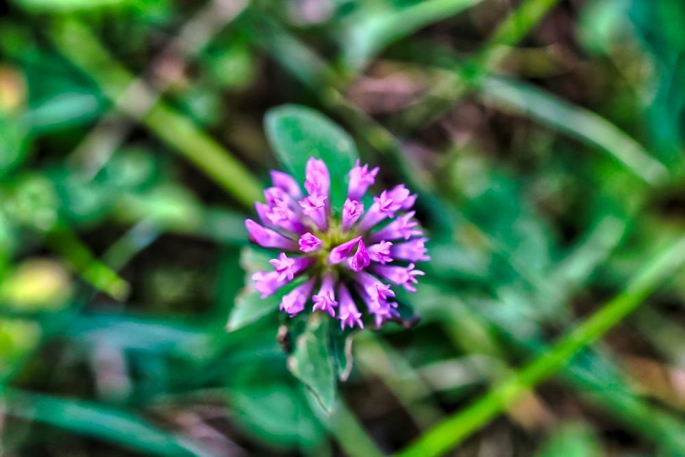 Photograph by Sandor Zoltan Gal