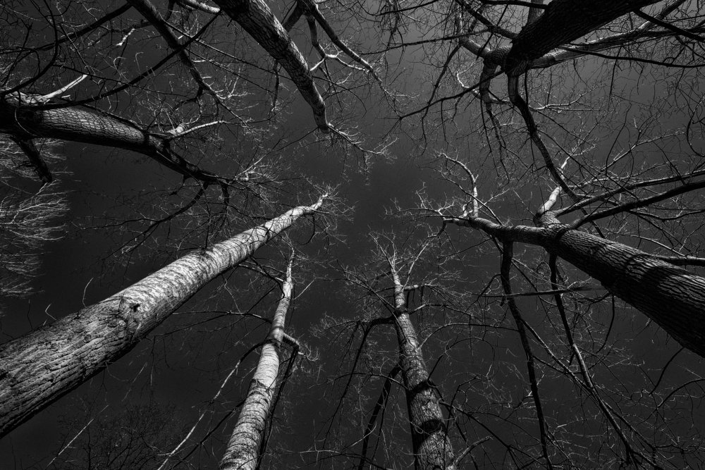 Photograph by Rumen Kurtev