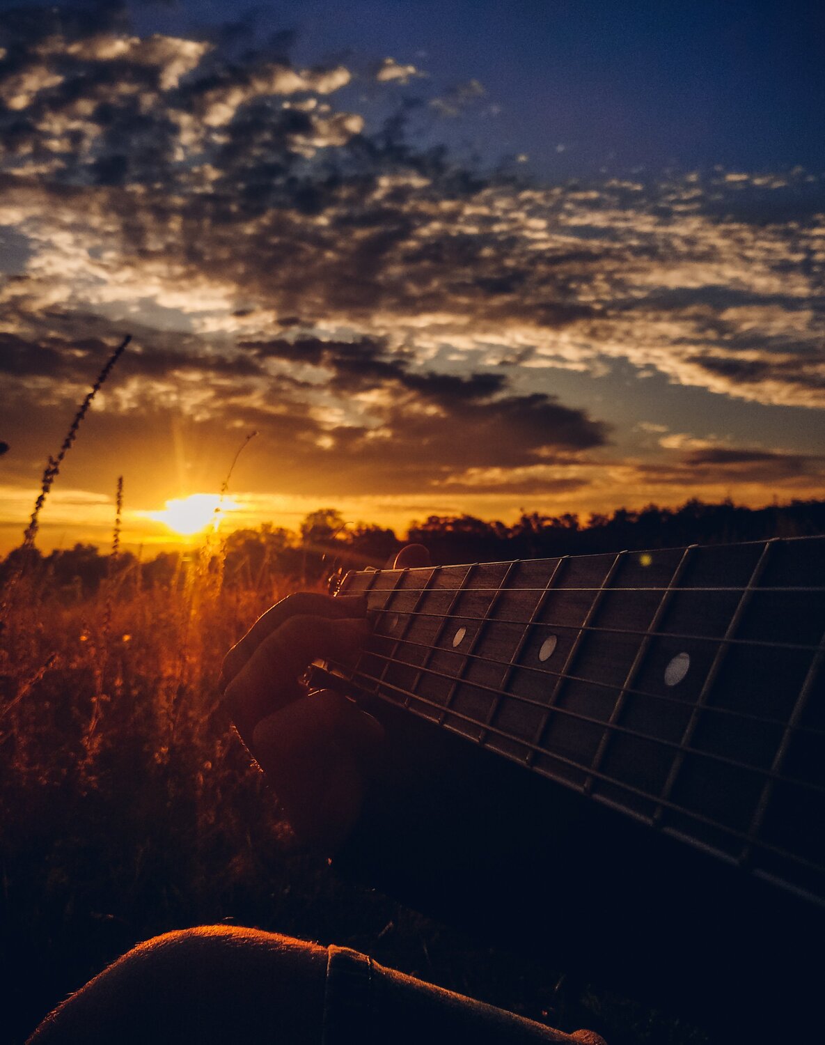 Photo #4443382