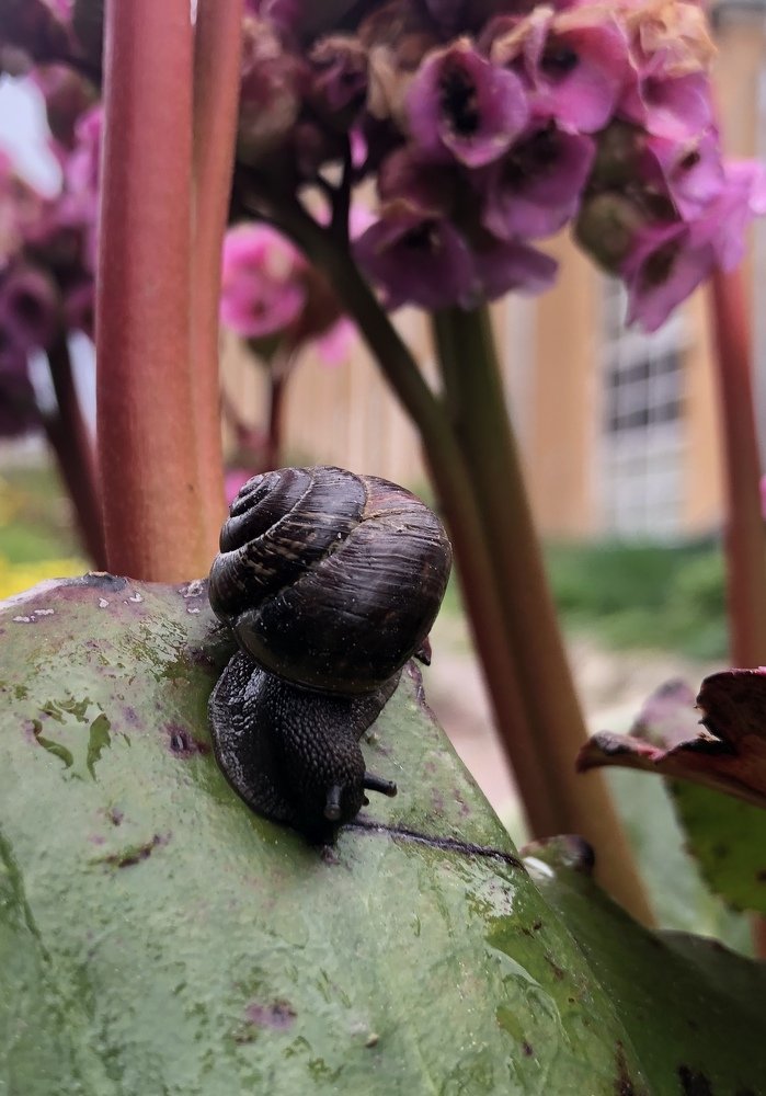 Photograph by Ali Boyko