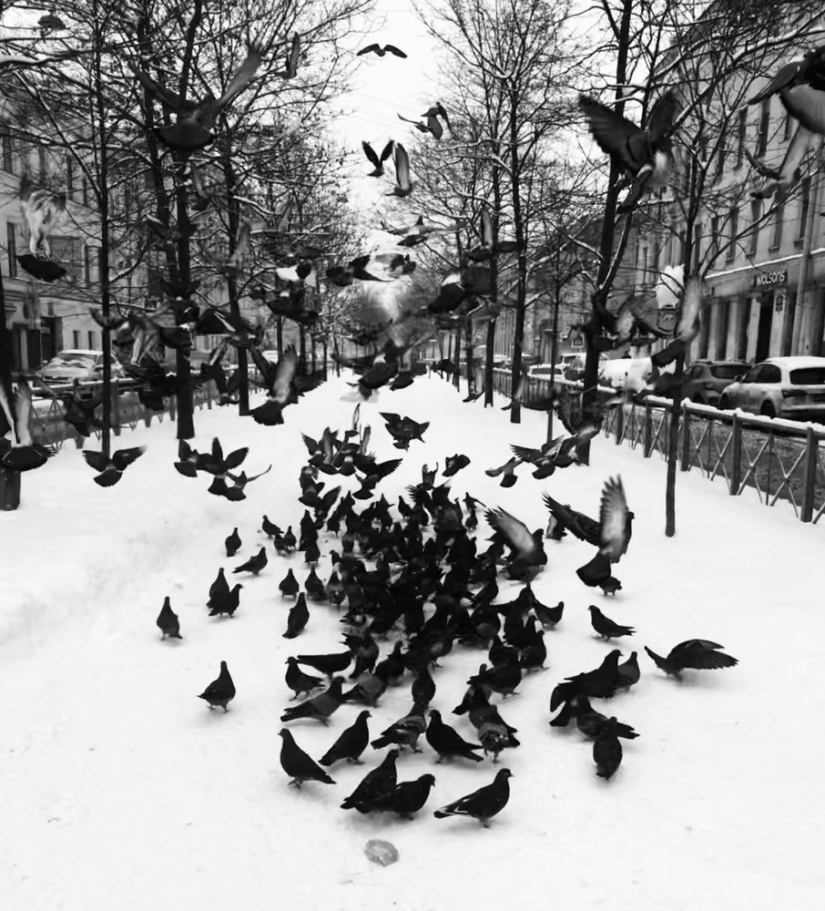 Photograph by Ali Boyko