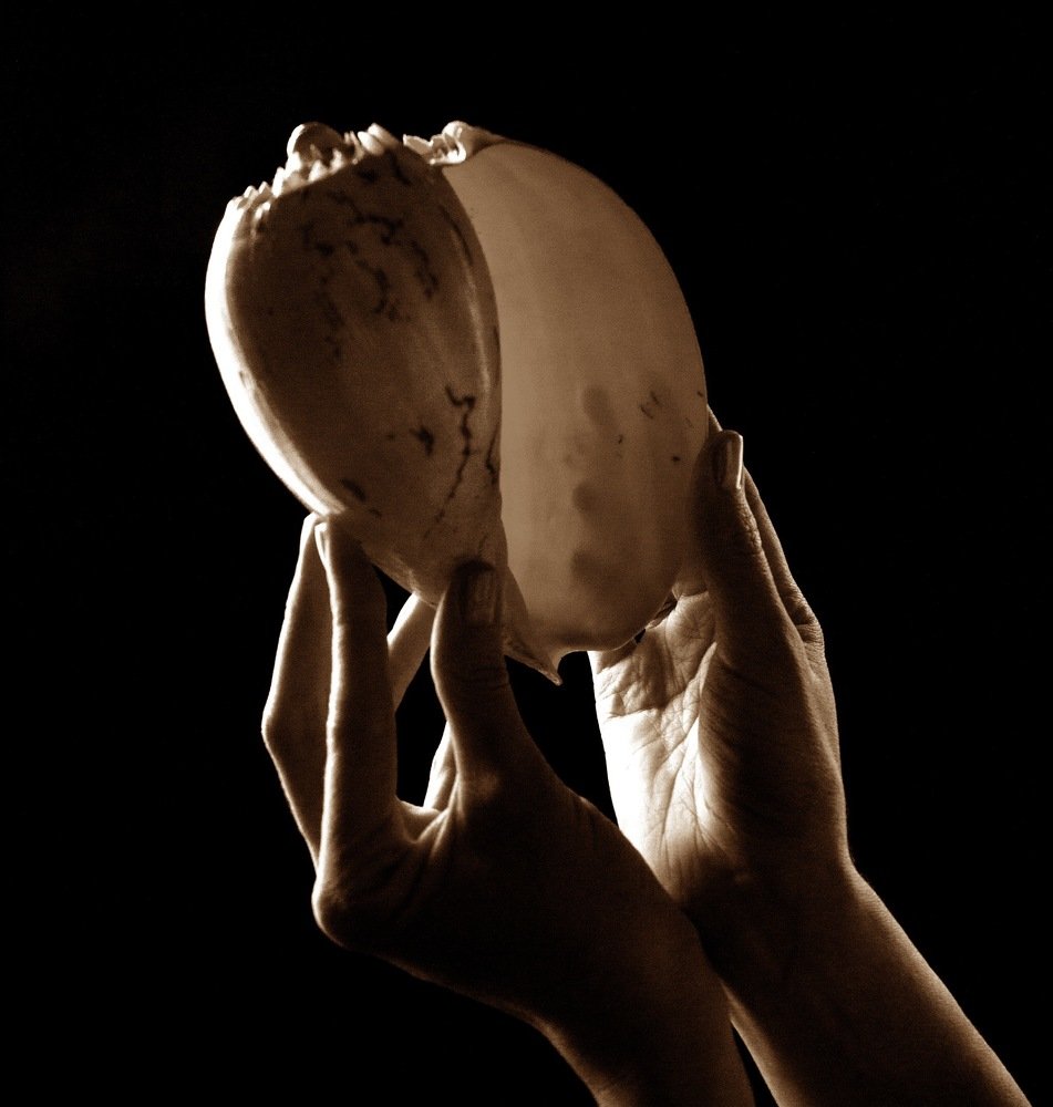 Photograph by Ali Boyko