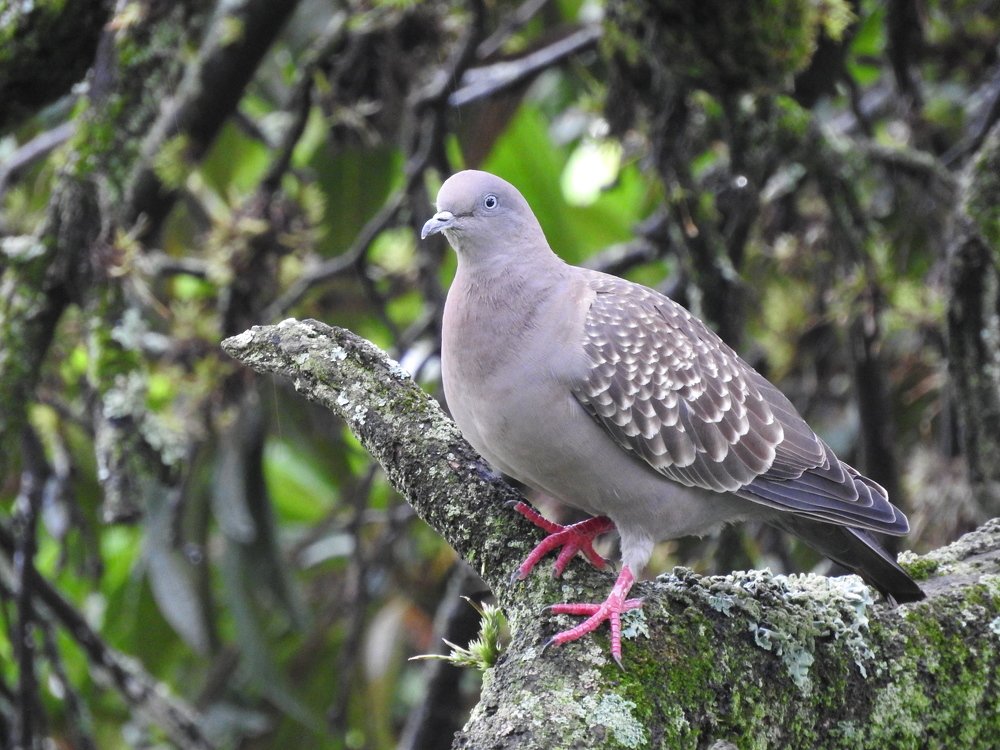 Photograph by Cristina Bosio Ferrer