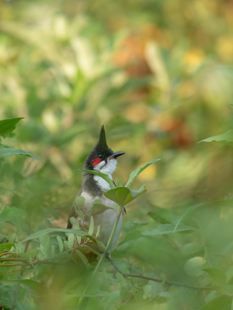 Photograph by Сергей Сыресин