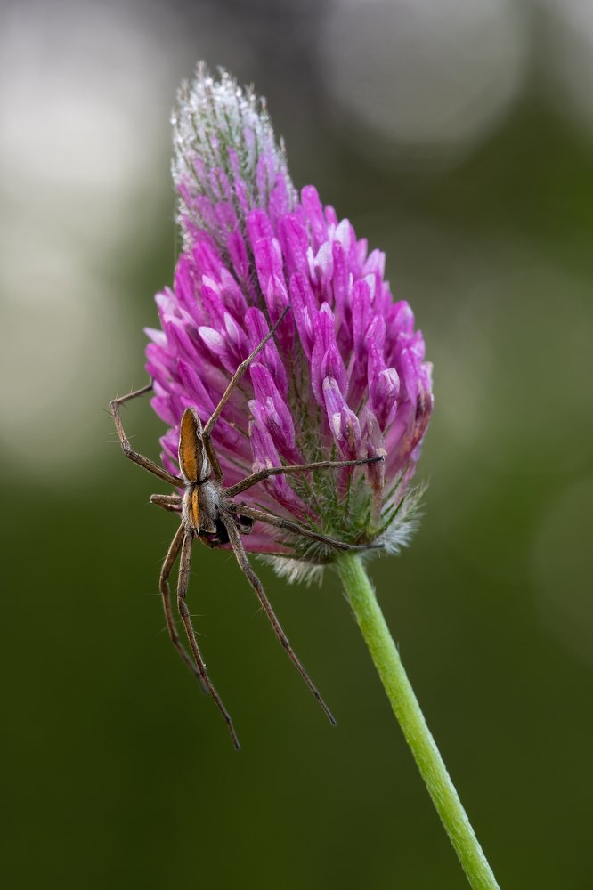 Photograph by Игорь ФУММ