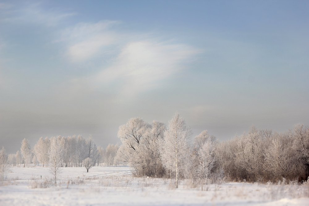 Photograph by Надежда Тарасенко