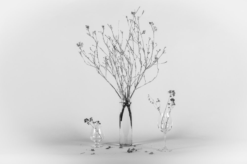 Photograph by Дмитрий Гольнев