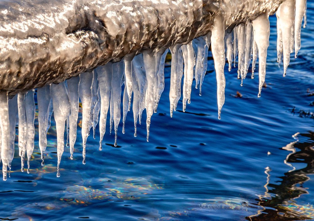 Photograph by Владимир Журавлев