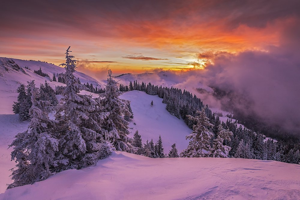 Photograph by Vasile Palaghioi