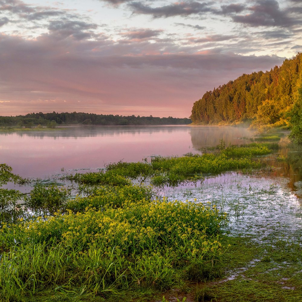 Фотография автора Панагушин Сергей