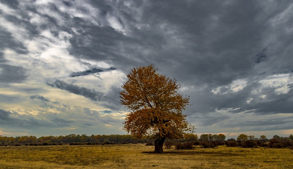 Photograph by Alex Kalpus