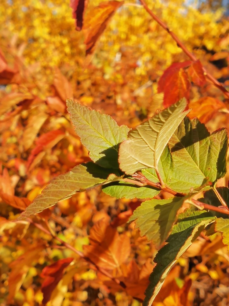 Photograph by Александр Костин