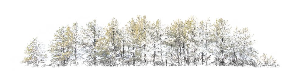 Photograph by Leonel D Cossio