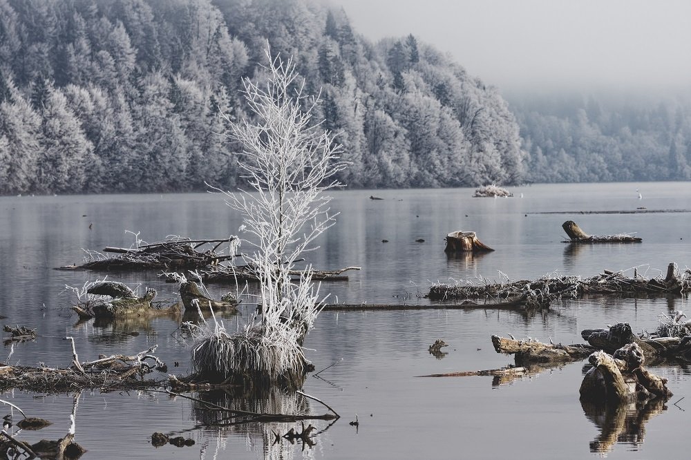 Photograph by zause01