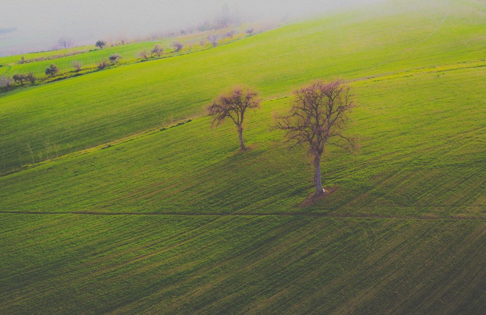 Photograph by Виктор Вандяк