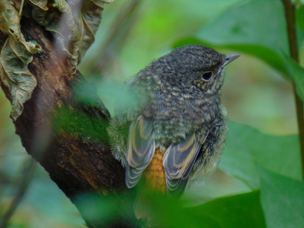 Photograph by Ольга Шевцова