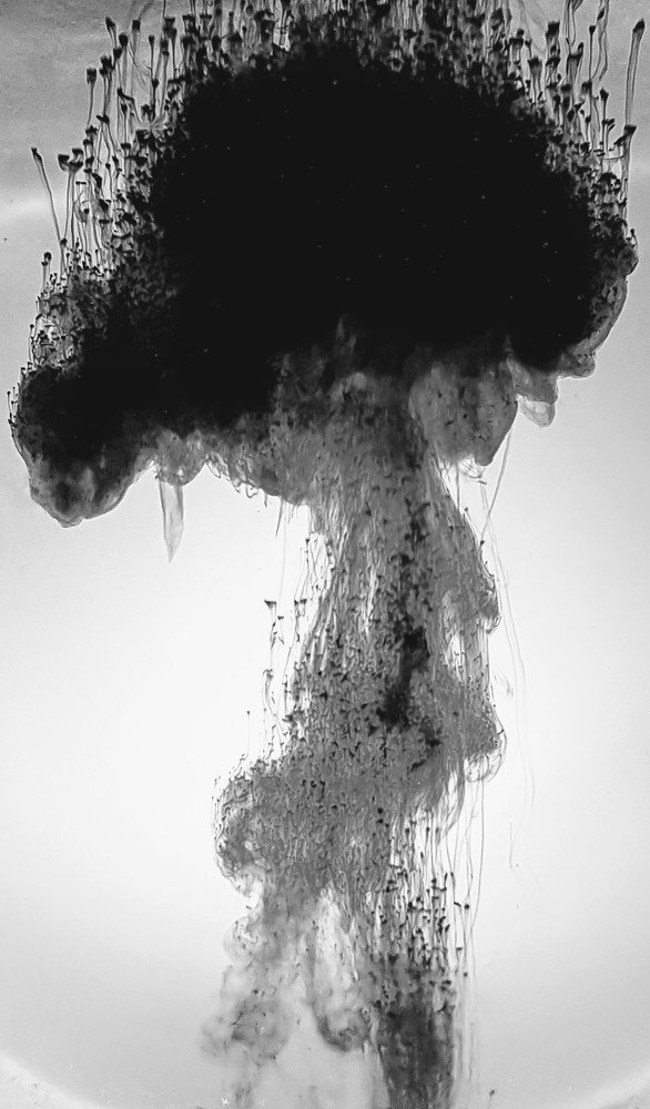 Photograph by Анастасия Перфильева