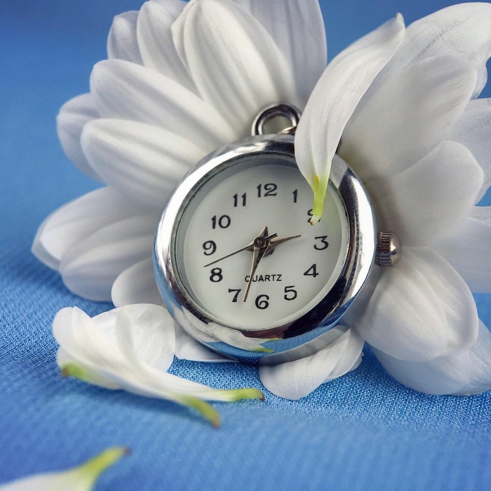 Время, куда ты так спешишь?