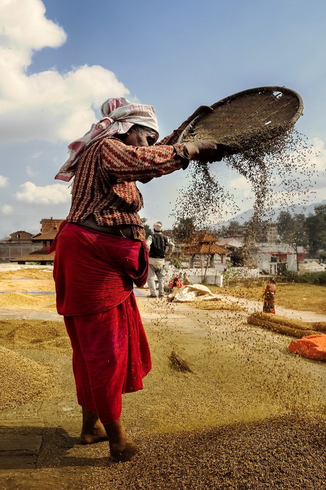 Photograph by Mariana Negulescu