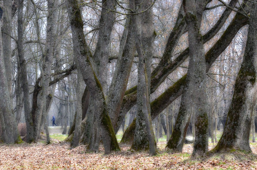 Разочарование.