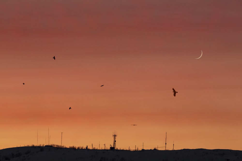 Молодая луна  закате дня