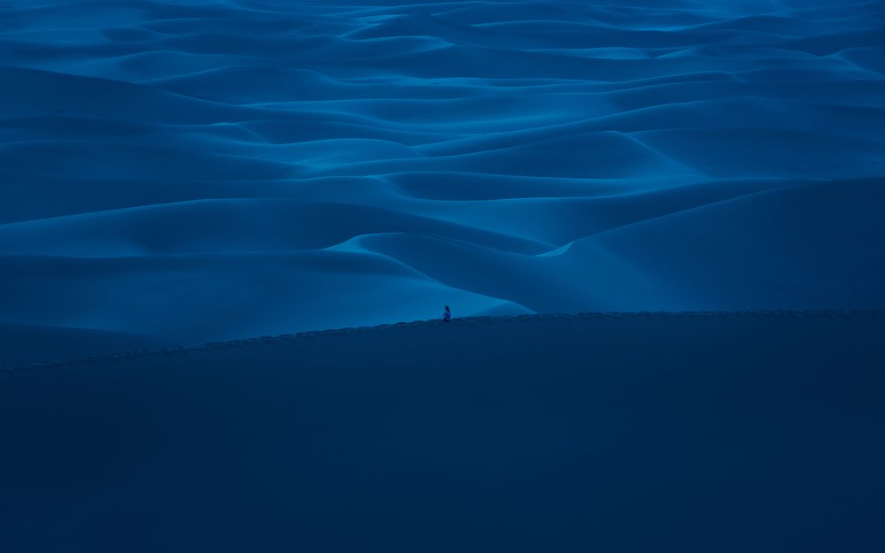 Photograph by Prybinski Miroslaw