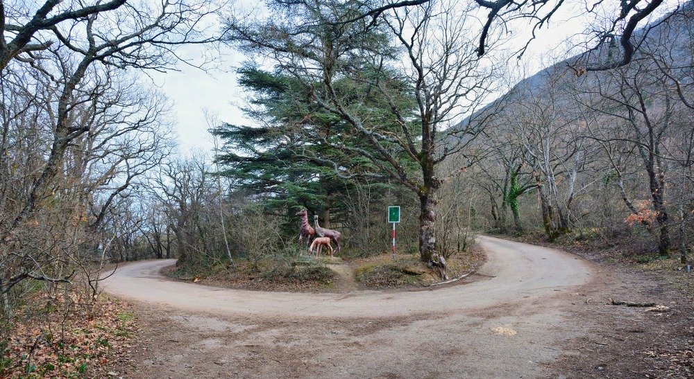 Photograph by Ирина Подушкина