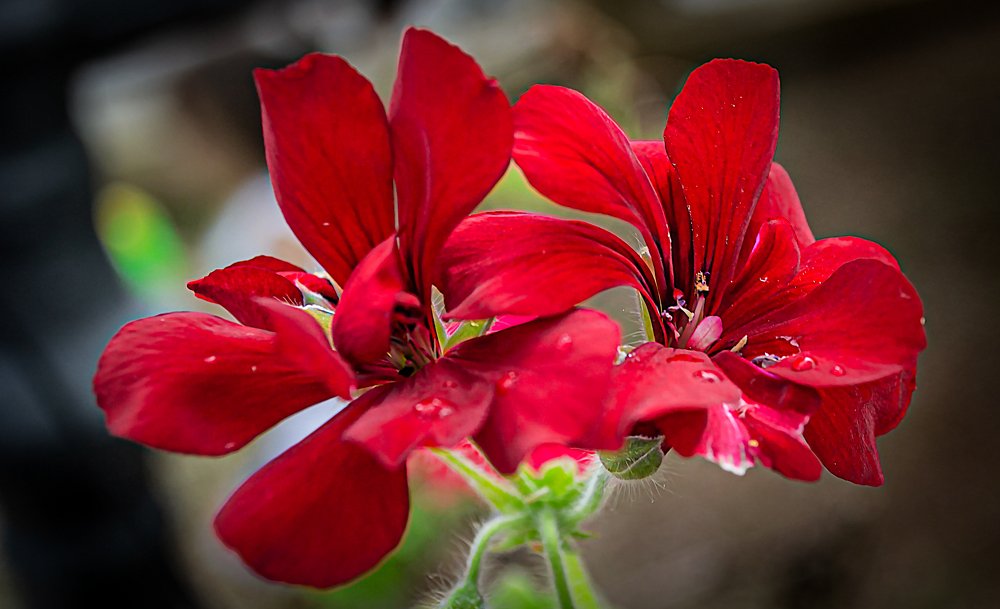 Photograph by Fabricio de Oliveira