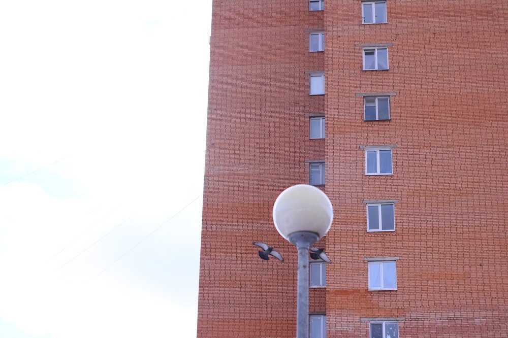 Photograph by Михаил Костыря