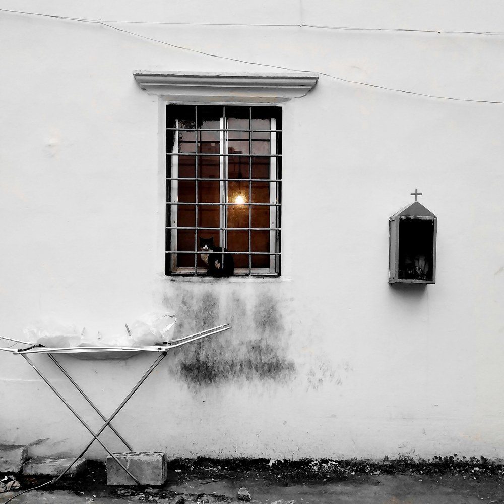 Photograph by Ouais Vivo