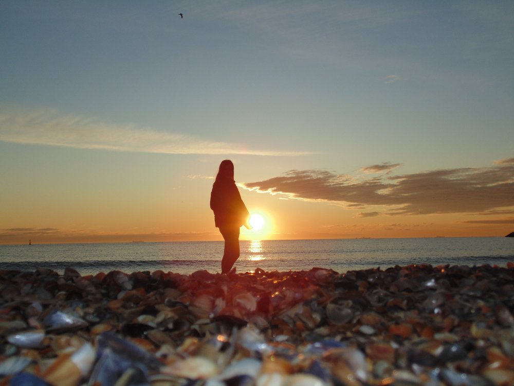 Photo #4444499